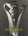 Karl Blossfeldt: 1865 - 1932