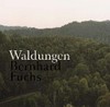 Bernhard Fuchs - Waldungen [im Rahmen der Ausstellung Bernhard Fuchs, Waldungen, Josef Albers Museum Quadrat, Bottrop, 2014]